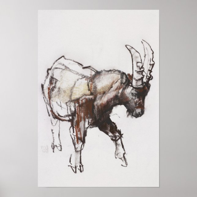 Young Ibex Gran Paradiso 2005 Poster (Front)