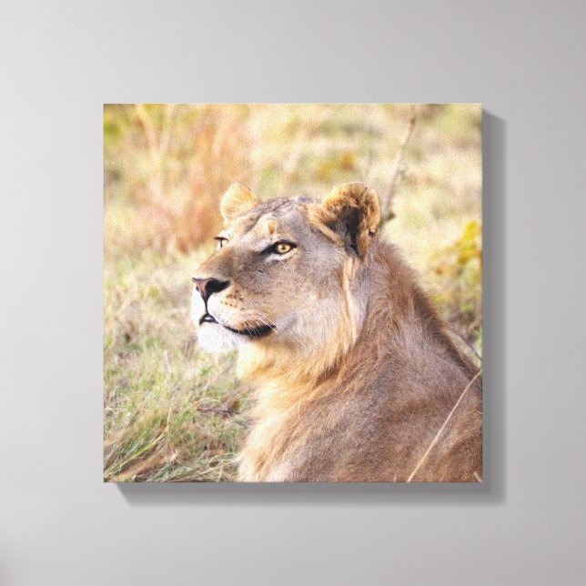 YOUNG KING OF THE JUNGLE PORTRAIT CANVAS PRINT (Front)