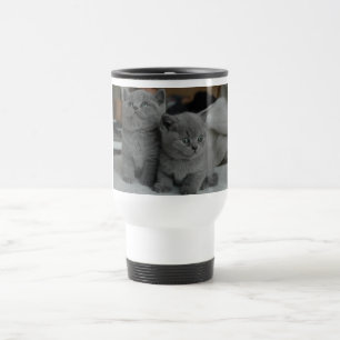 young kitten pet purr meow kitty cute cat travel mug
