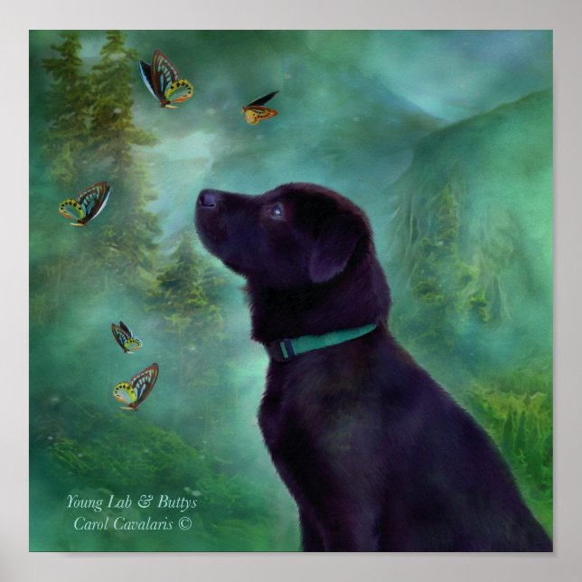 Young Lab & Buttys Art Poster/Print Poster (Front)