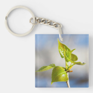 Young leaves key ring