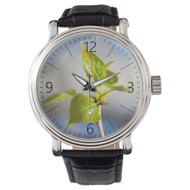 Young leaves watch (Front)