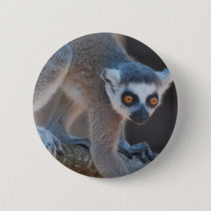 Young Lemur Button