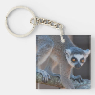 Young Lemur Keychain