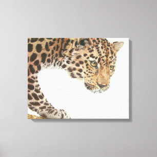 Young Leopard Painting Canvas Print