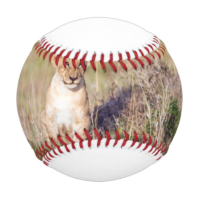 Young lion baseball (Front)
