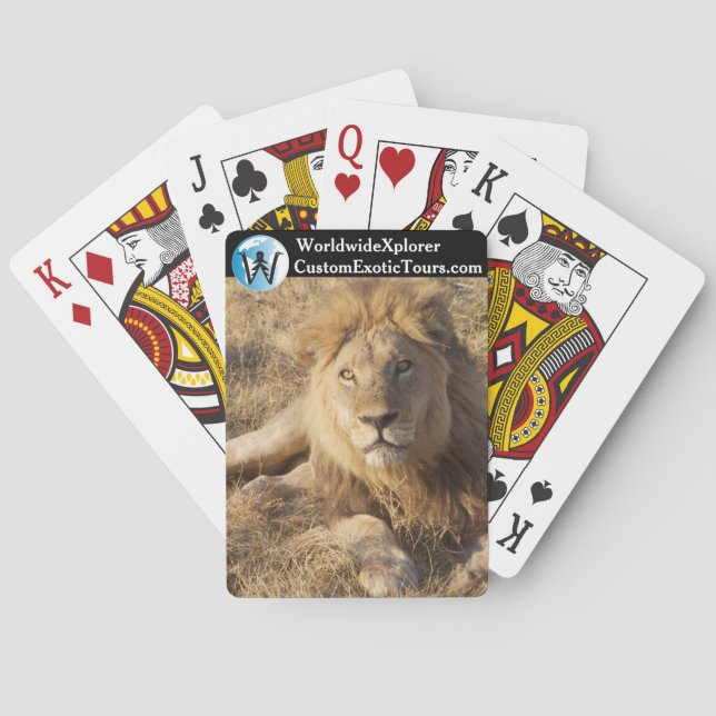 Young Lion Deck of Cards (Back)