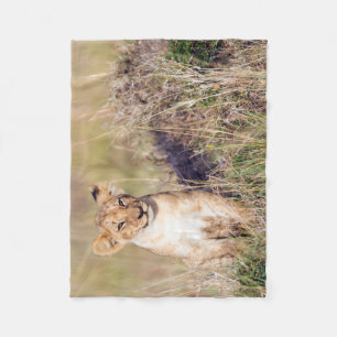 Young lion fleece blanket