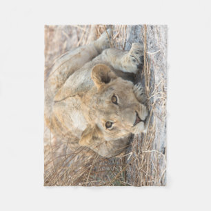 Young lion fleece blanket