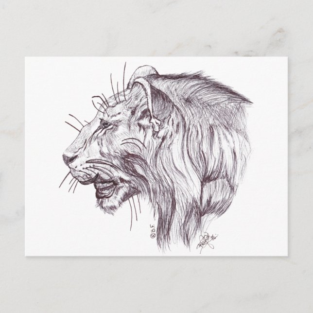 YOUNG LION HOLIDAY POSTCARD (Front)