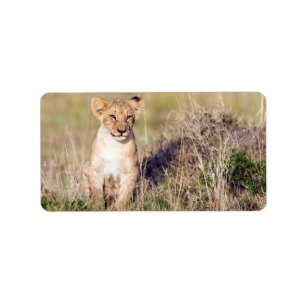 Young lion label