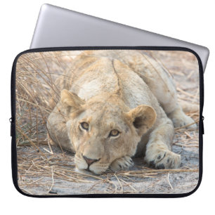 Young lion laptop sleeve
