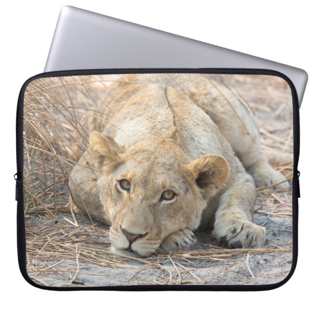 Young lion laptop sleeve (Front)