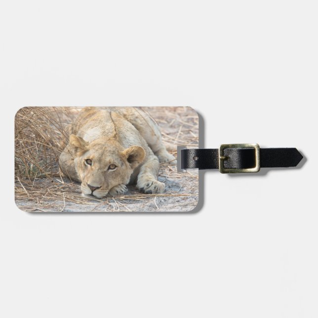 Young lion luggage tag (Front Horizontal)
