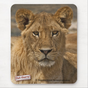 Young Lion Mouse Mat