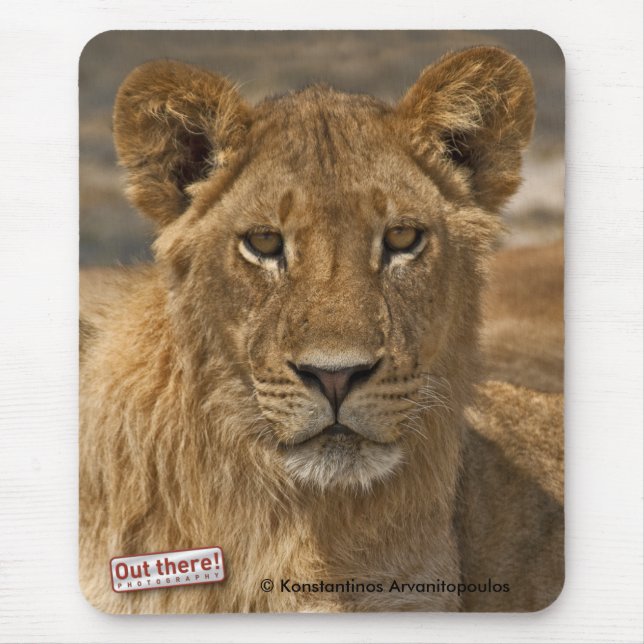 Young Lion Mouse Mat (Front)