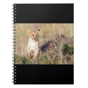 Young lion notebook