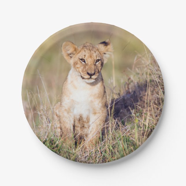 Young lion paper plate (Front)