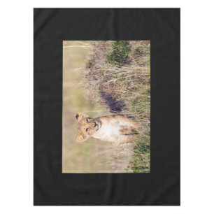 Young lion tablecloth