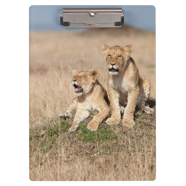 Young lions clipboard (Front)