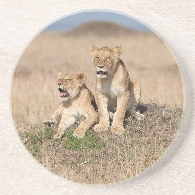 Young lions coaster (Front)