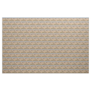 Young lions fabric