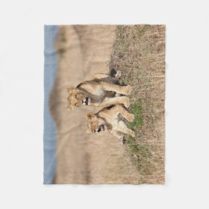 Young lions fleece blanket