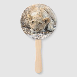Young lions hand fan