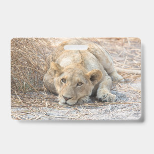 Young lions ID badge