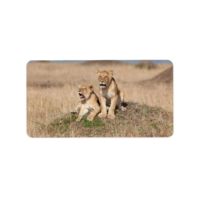 Young lions label (Front)