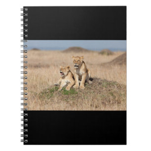 Young lions notebook