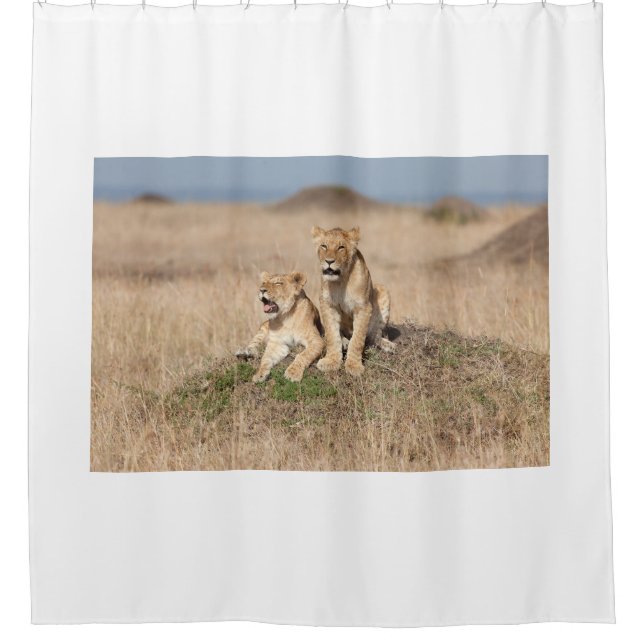 Young lions shower curtain (Front)