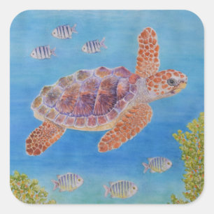 Young Loggerhead Sea Turtle Square Sticker