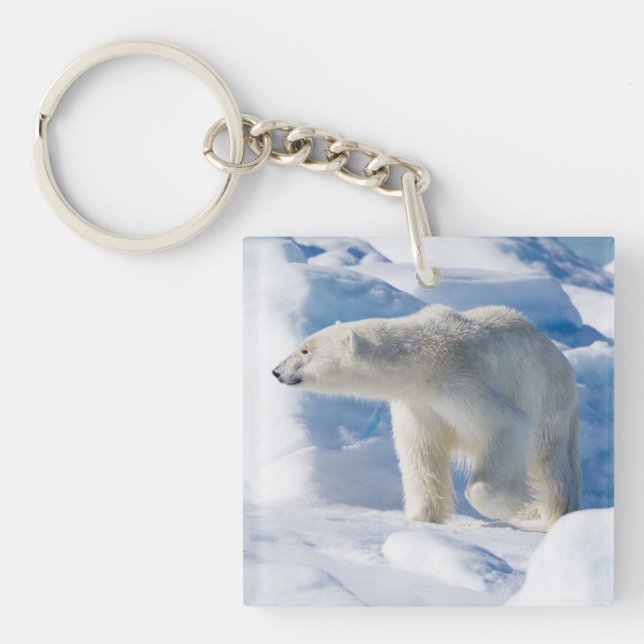 Young Male Polar Bear Key Ring (Front)