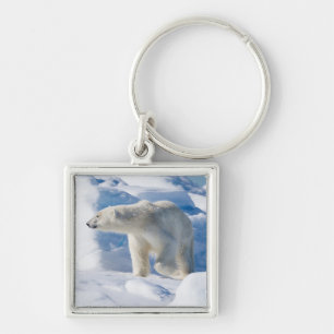 Young Male Polar Bear Key Ring