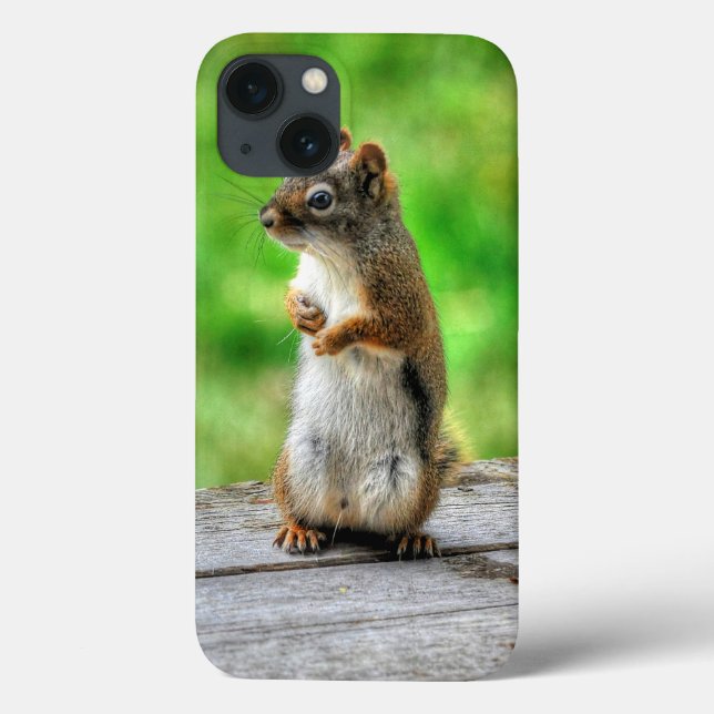 Young Male Squirrel Standing Wildlife Photo Case-Mate iPhone Case (Back)