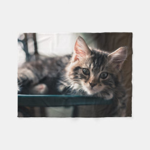Young Male Tabby Cat 2 Fleece Blanket