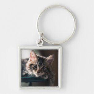 Young Male Tabby Cat 2 Key Ring