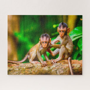 Young Monkeys. Jigsaw Puzzle