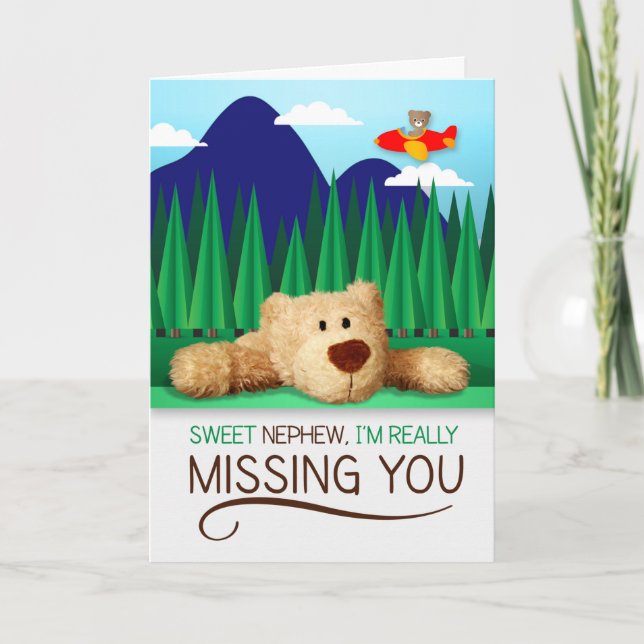 Young Nephew Airplane and Teddy Bear Missing You Card (Front)