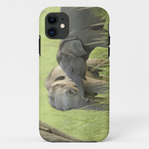 Young ones of Indian / Asian Elephant iPhone 11 Case