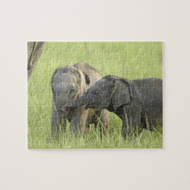 Young ones of Indian / Asian Elephant Jigsaw Puzzle (Horizontal)