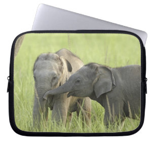 Young ones of Indian / Asian Elephant Laptop Sleeve