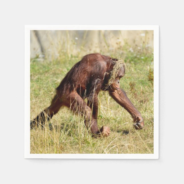 Young orangutan walking on grass    napkin (Front)