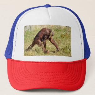 Young orangutan walking on grass trucker hat