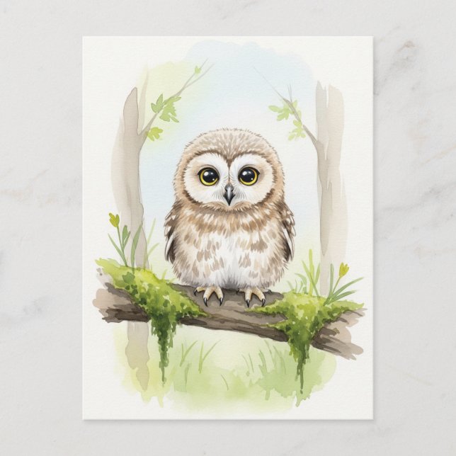 Young Owl Baby Wild Animals Postcard (Front)