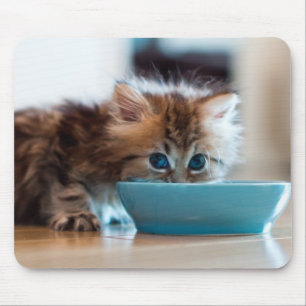 Young Persian Kitten Mouse Mat