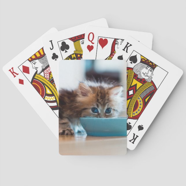 Young Persian Kitten Playing Cards (Back)