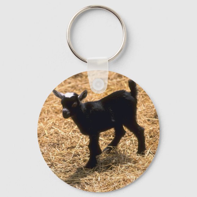 Young Pigmy Goat Key Ring (Front)