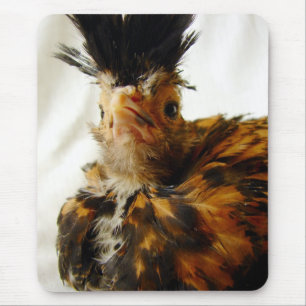 Young Polish Mouse Mat